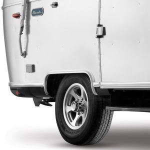 Bambi-Torsion-Suspension