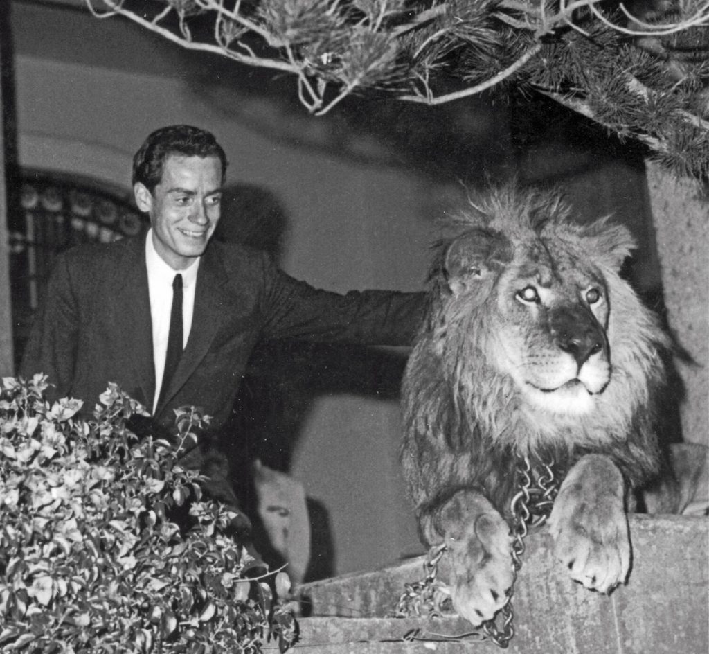 Pete Turner African Caravan Photography 13