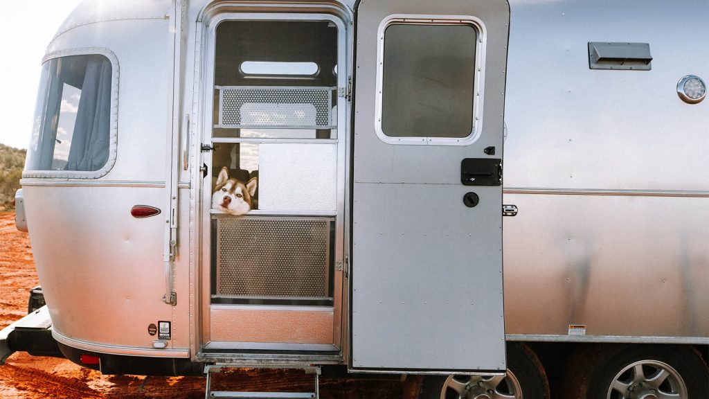 Airstream-Travel-Trailer-with-dog-looking-through-window