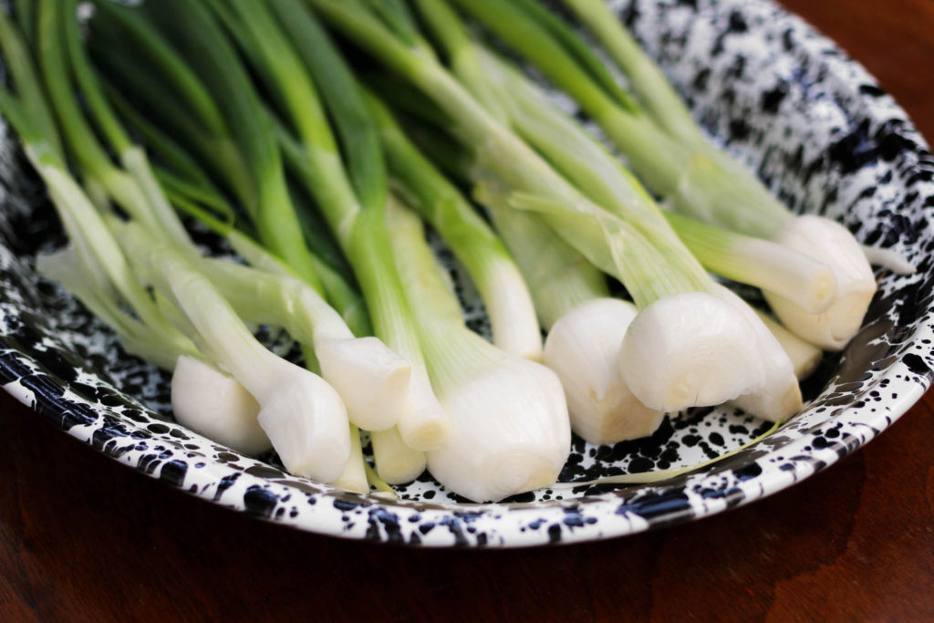 Crow Canyon Home Airstream Dishware 3