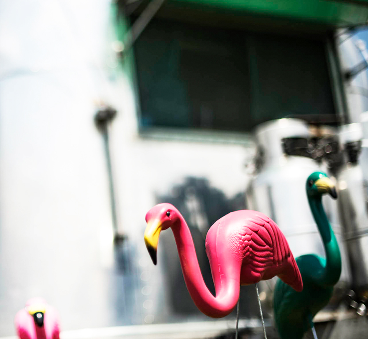 Airstream-Flamingo-Friday-Livestream-Series-preview