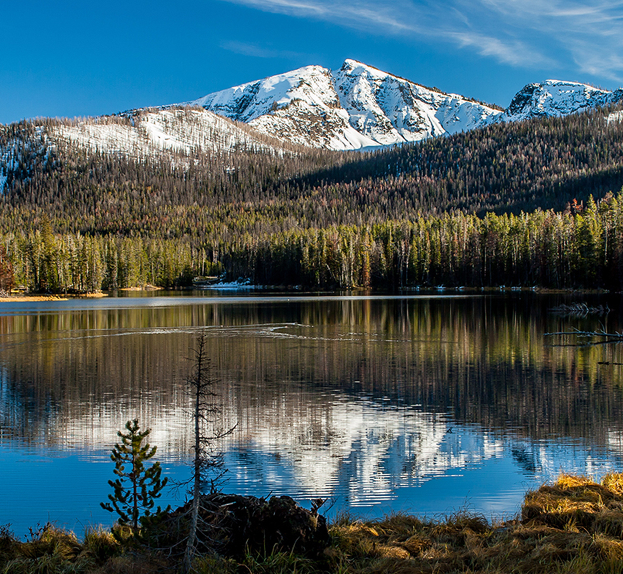 Yellowstone-Airstream-Blog-Preview