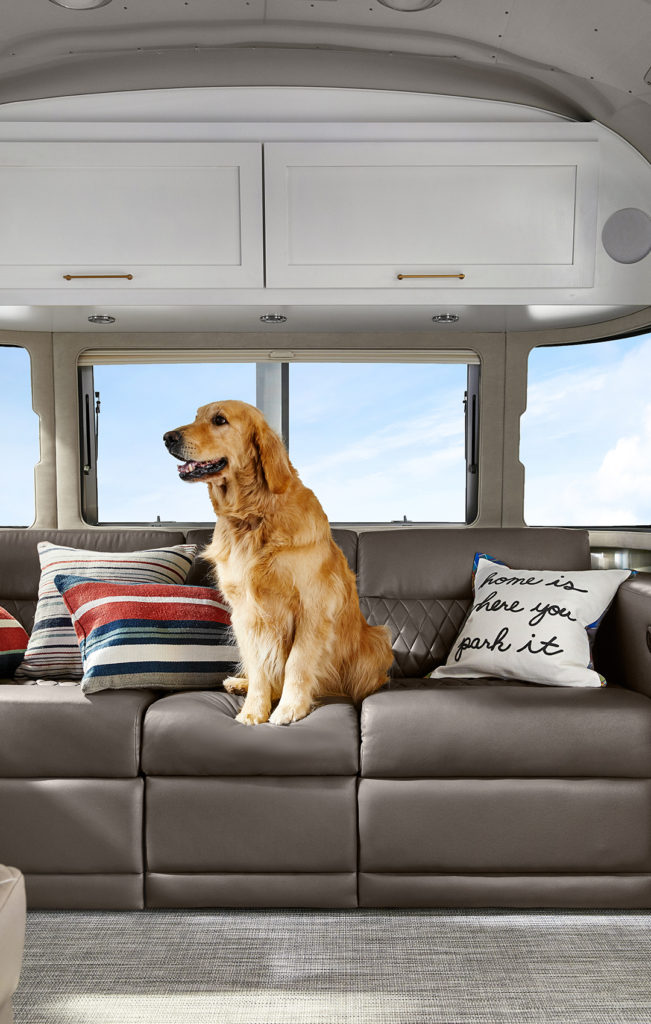 Airstream-and-Pottery-Barn-Pillows-with-Dog