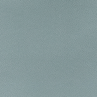 2021-International-Coastal-Cove-Aqua-Ultra-Leather-Seating