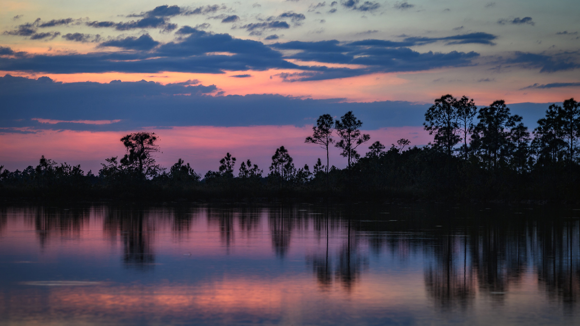 Airstream-Portable-Parks-Everglades-National-Park-Scene-1