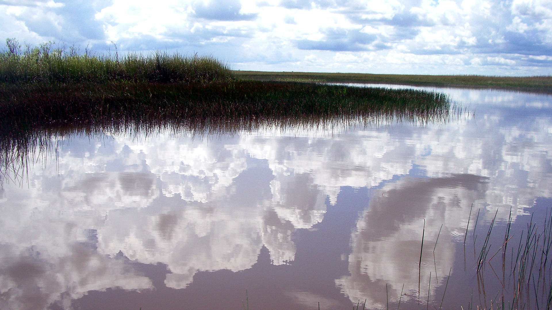 Airstream-Portable-Parks-Everglades-National-Park-Scenic-1