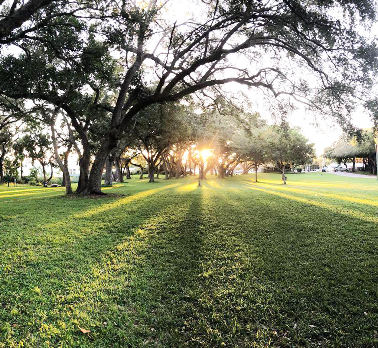 Best-Everglades-Camping-from-Airstream-Header-2