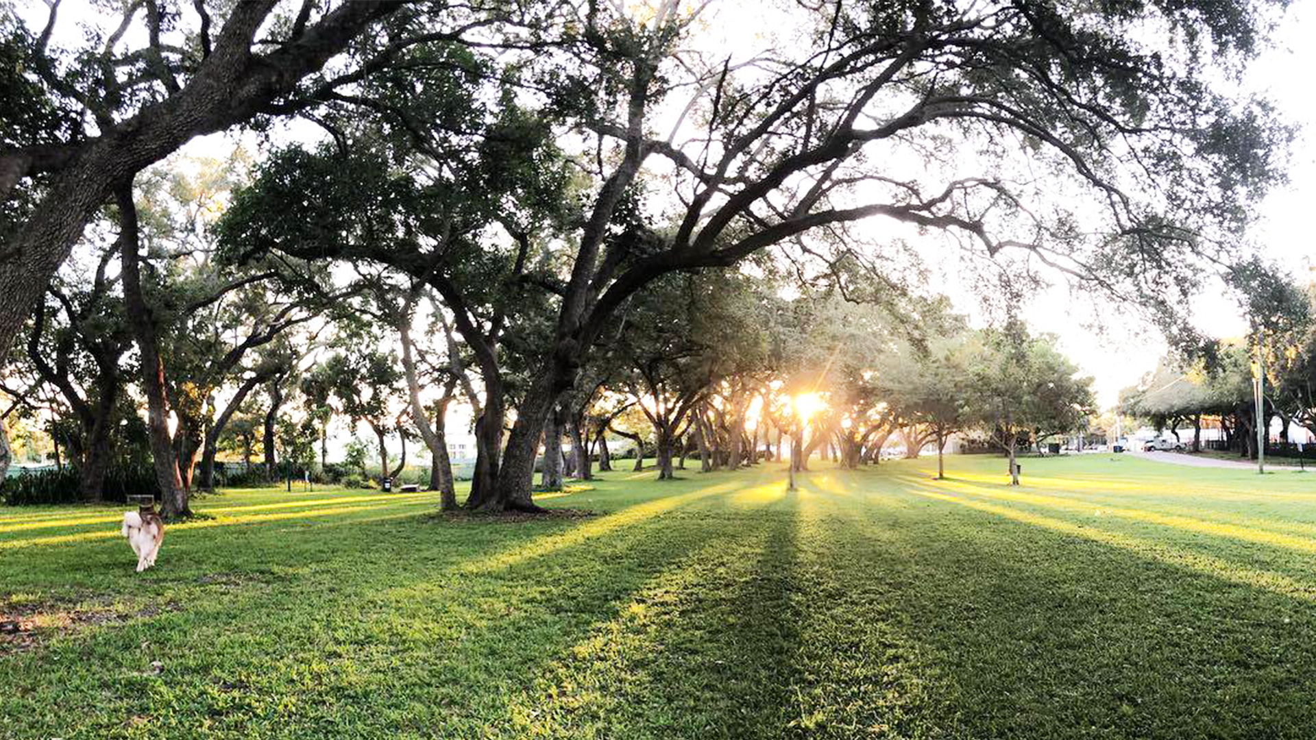 Best-Everglades-Camping-from-Campendium-by-Airstreamers