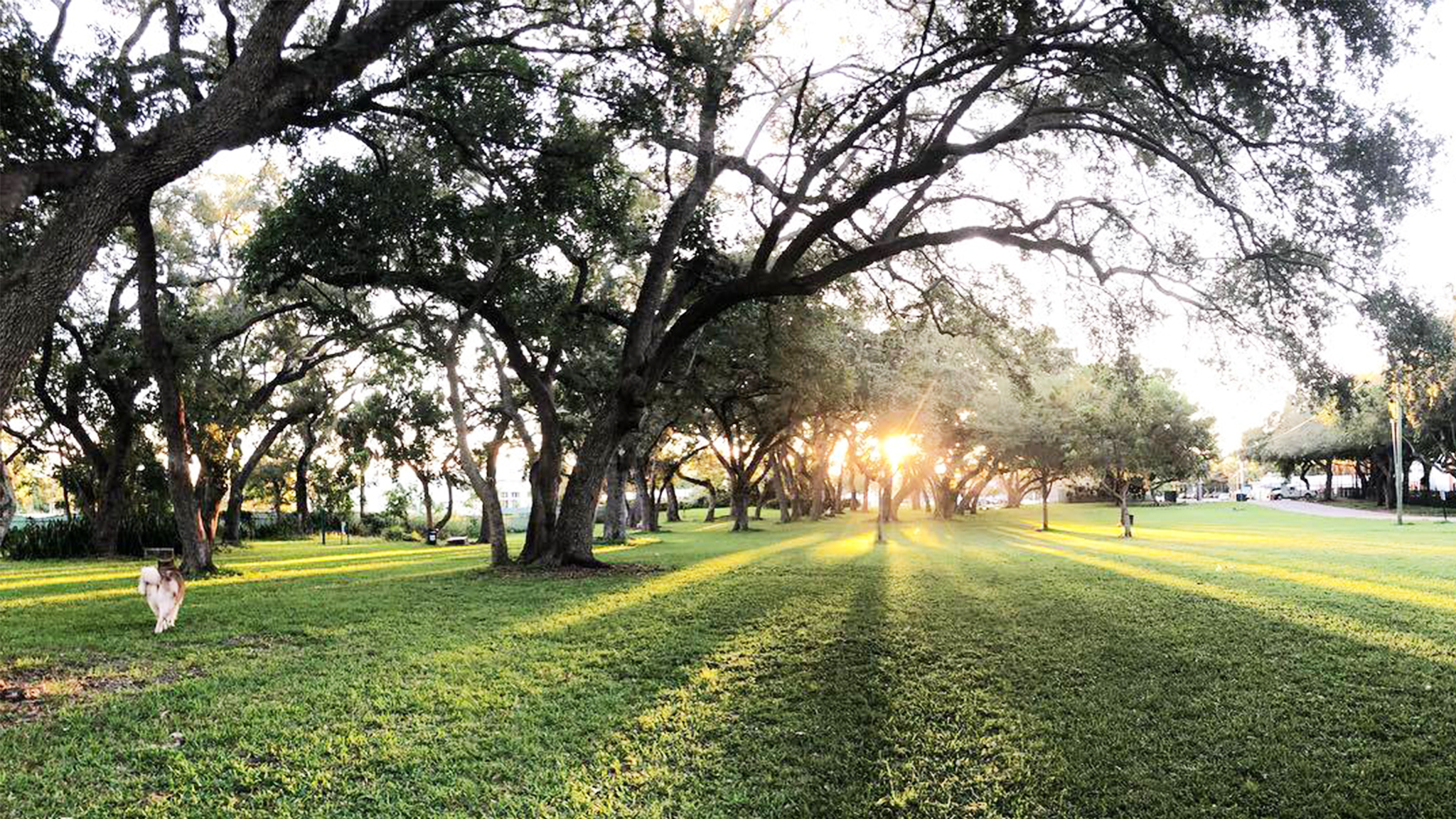 Everglades-Best-Camping-for-Airstream-Header-1
