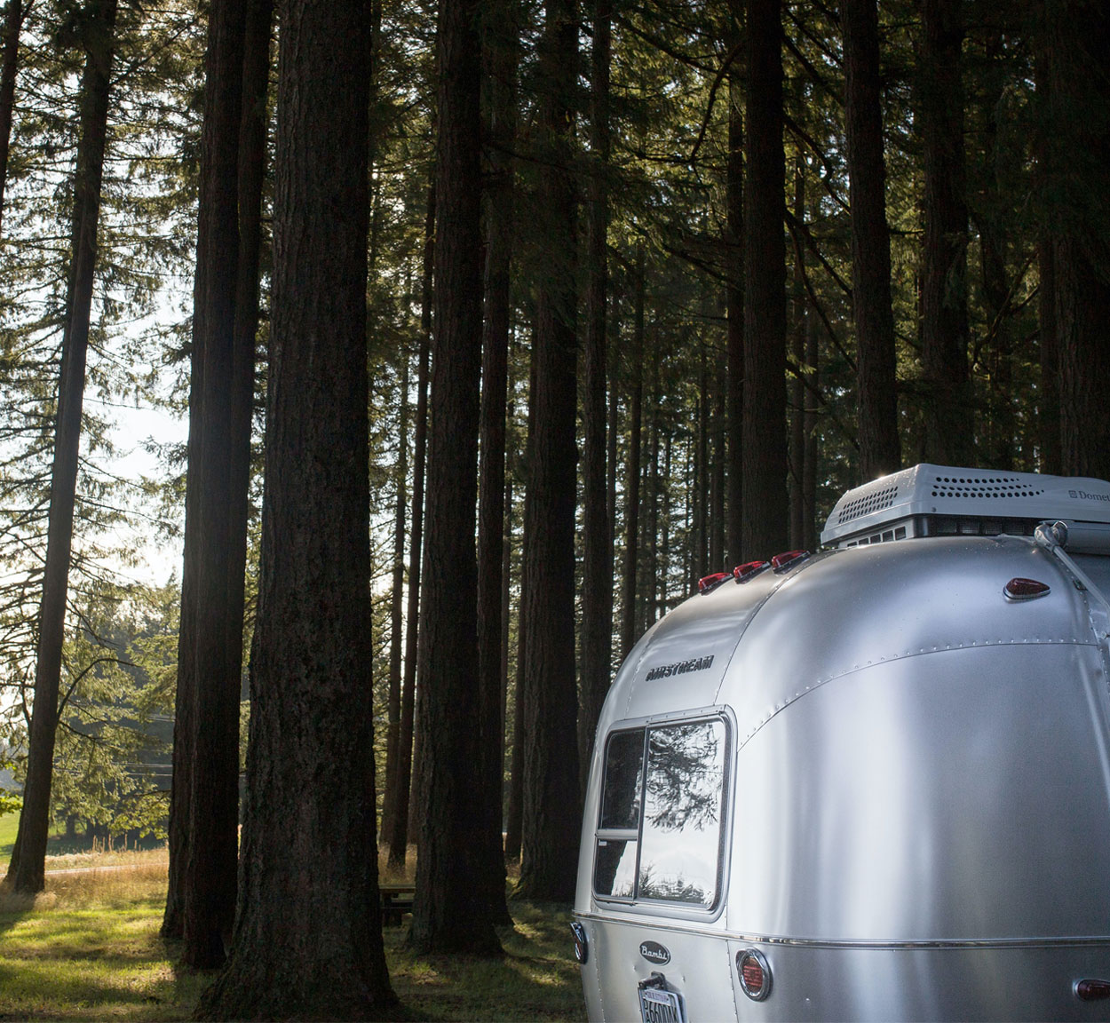 Airstream trees caravan to carbon neutral program