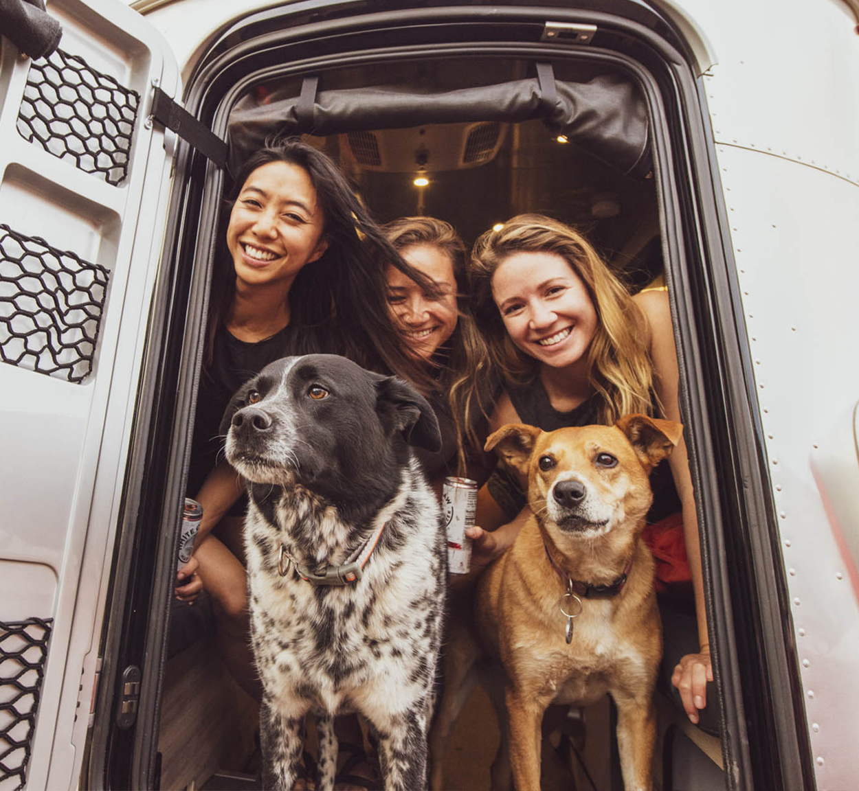 3 friends and 2 dogs looking out the back of a Basecamp