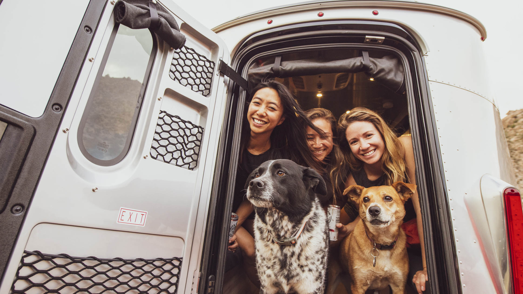 3 friends and 2 dogs looking out the back of a Basecamp