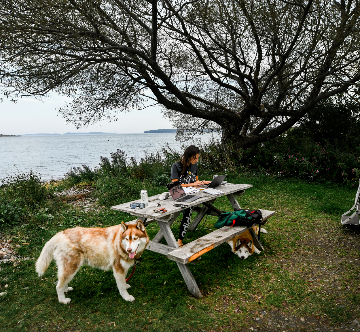 Danielle working at a picnic table outside of her Airstream Travel Trailer