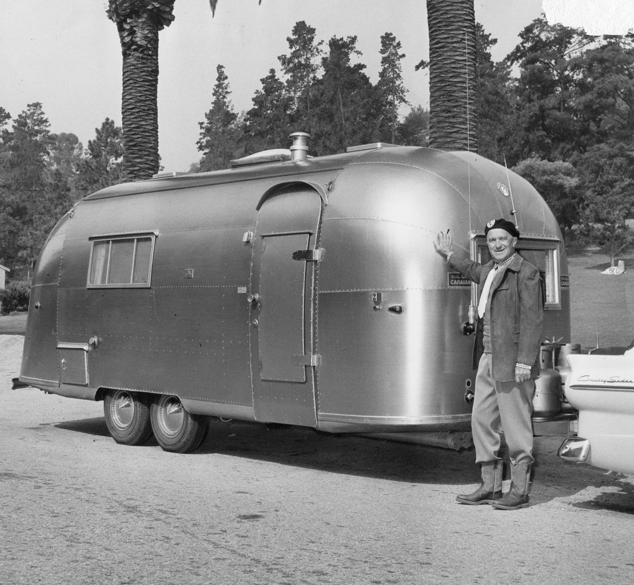 Wally-birthday-preview-image