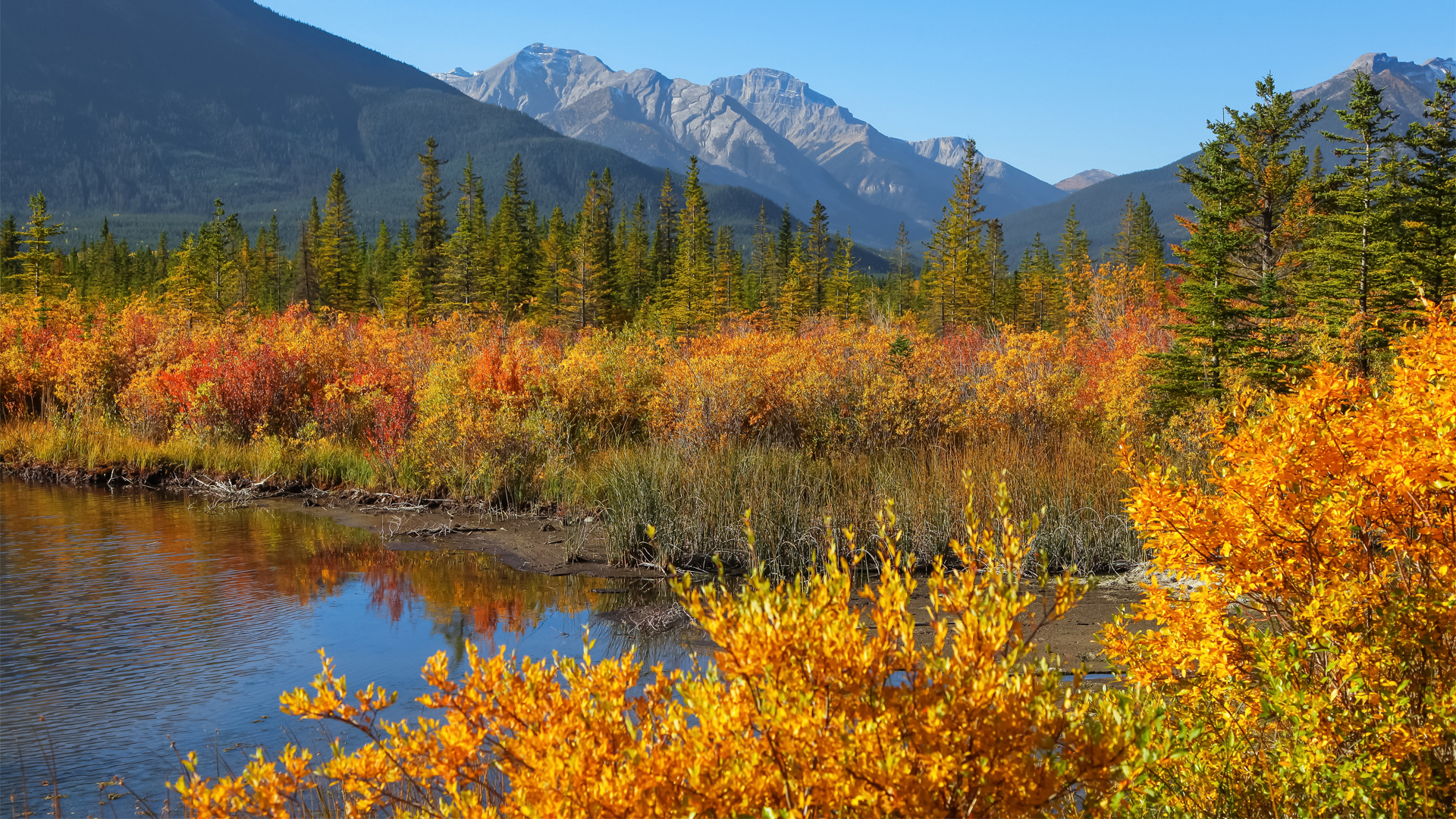 Rocky-Mountains-Fall
