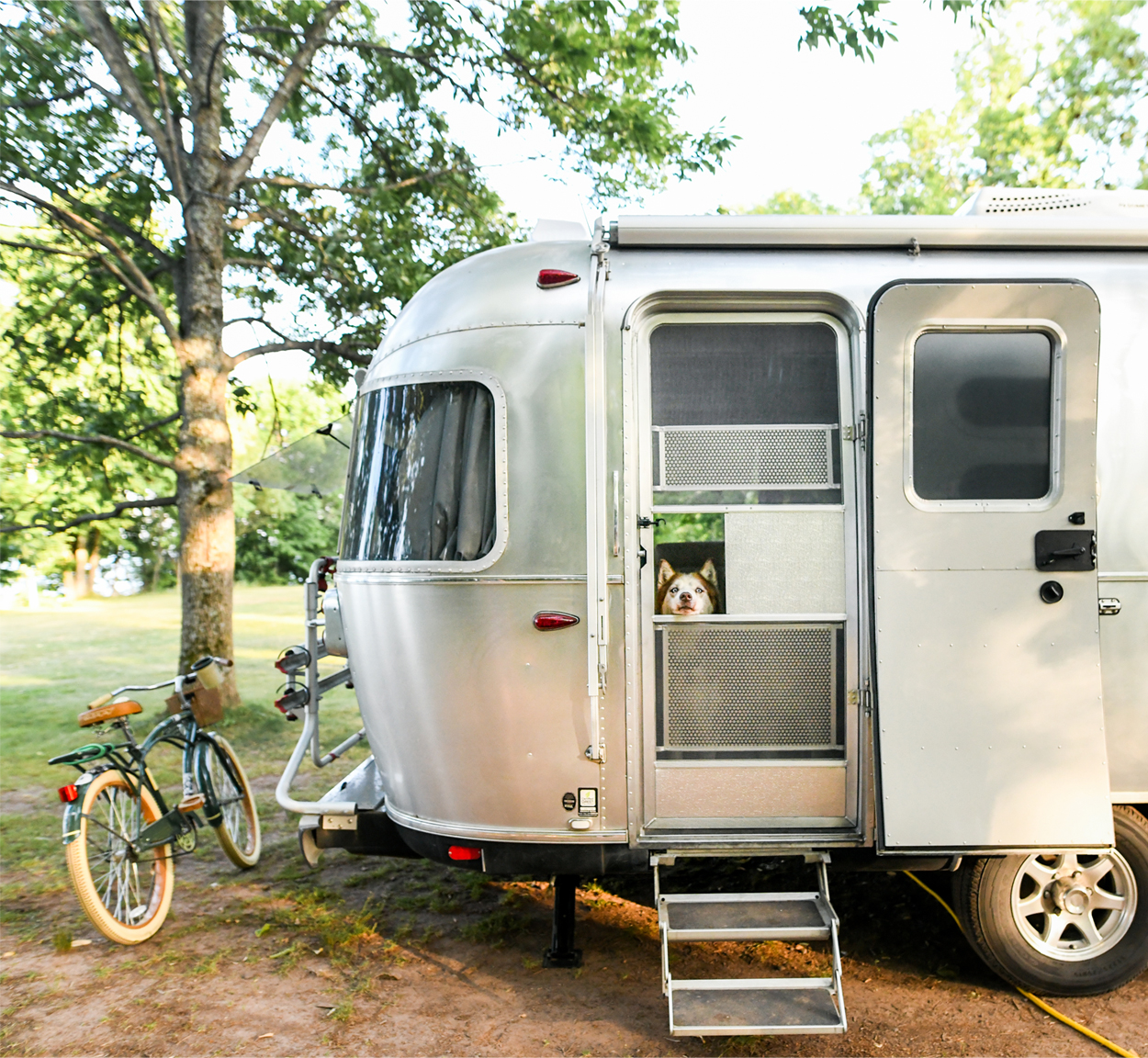 A dog looking out the door of an Airstream travel trailer with a bike sitting next to it, and that is parked at a camp grounds in Michigan