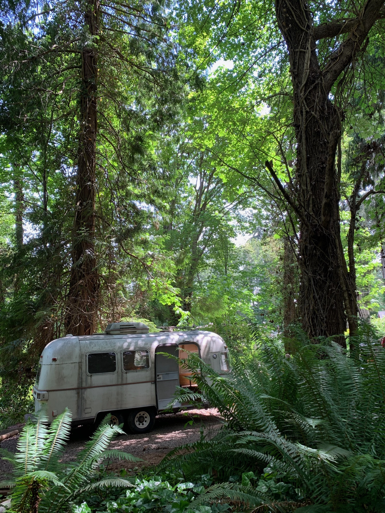 4318FBF3-548E-41FB-8273-CDBB98E749F2