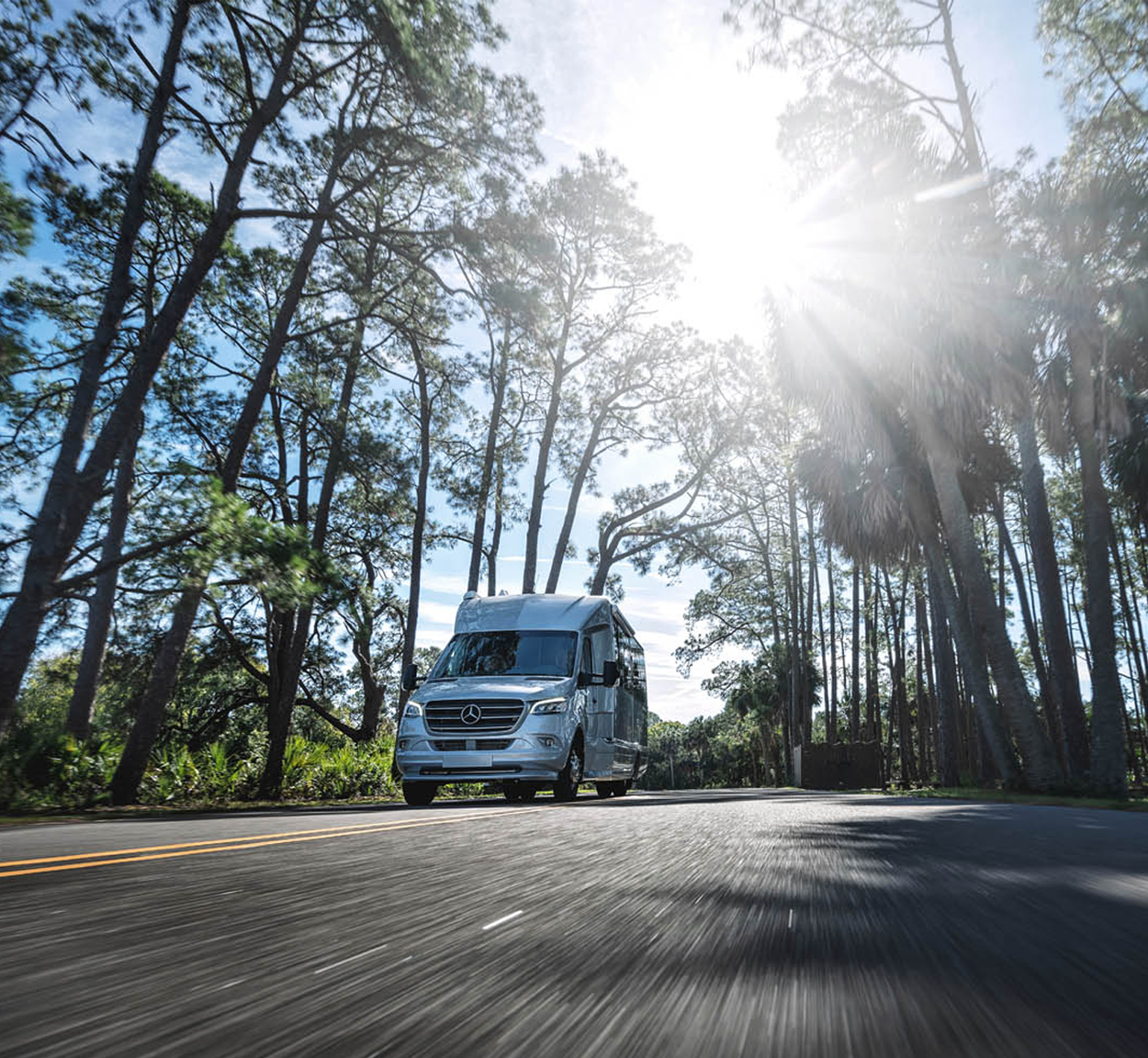 Airstream Class B Touring Coach driving down the road with palm trees and the sun shining through.
