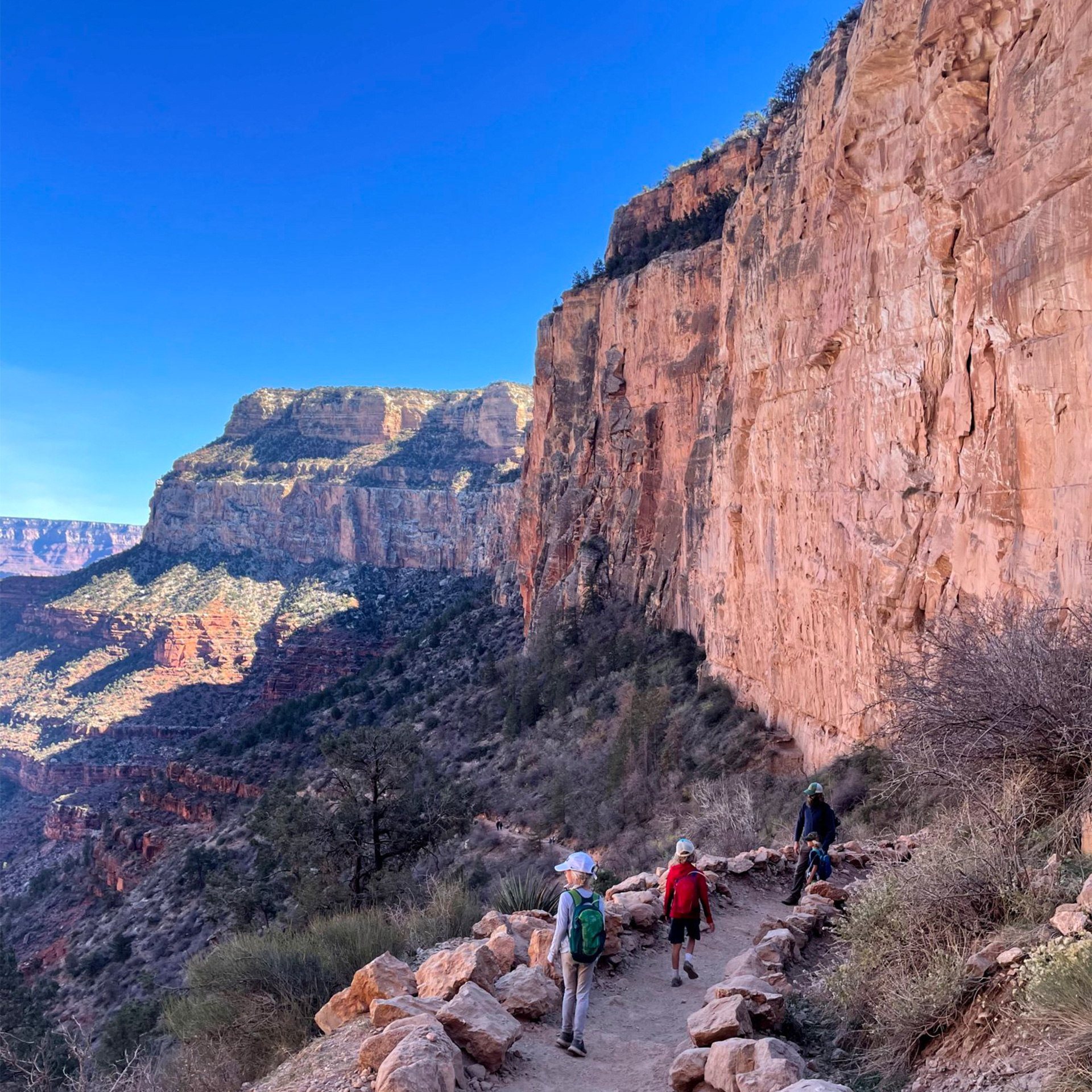 Kids hiking in the desert.