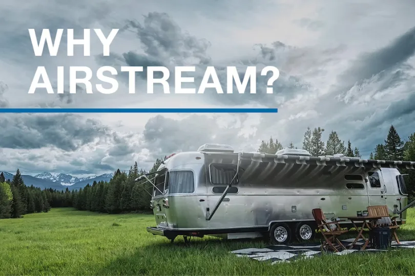 6500adf64029f816d48fcbd2_thank you 1