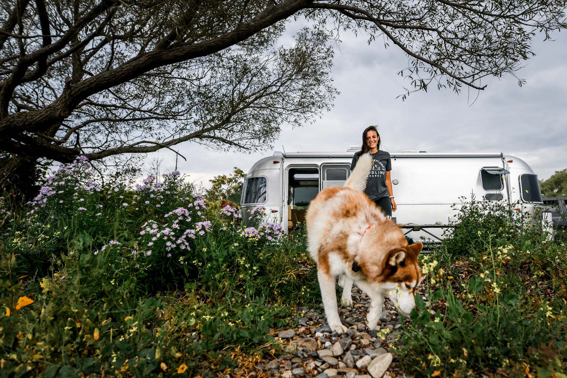 ZOOMZOOMCREATIVE_AIRSTREAM_ROUNDTRIP_MAINEACADIA-23