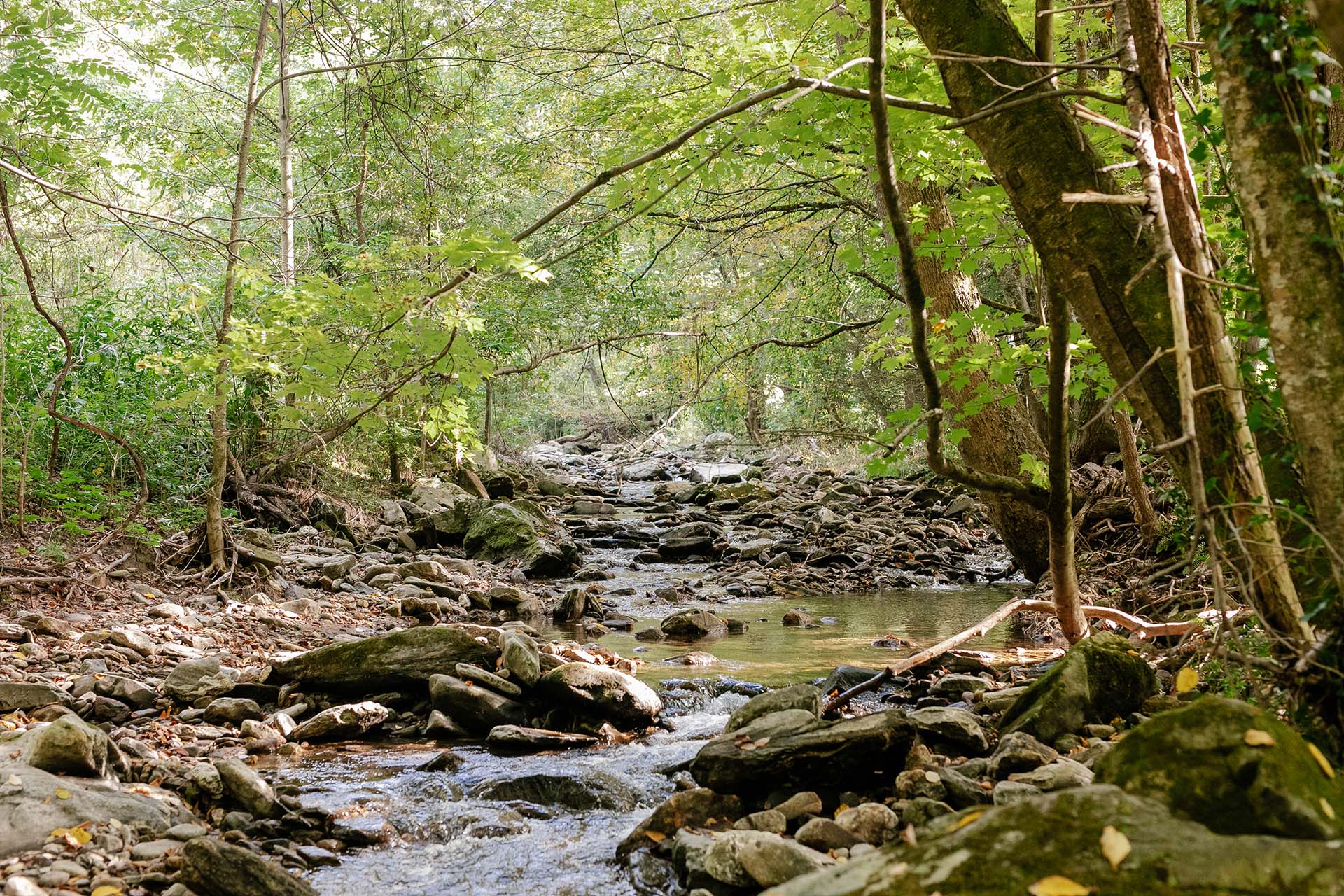 Reems Creek Retreat 1