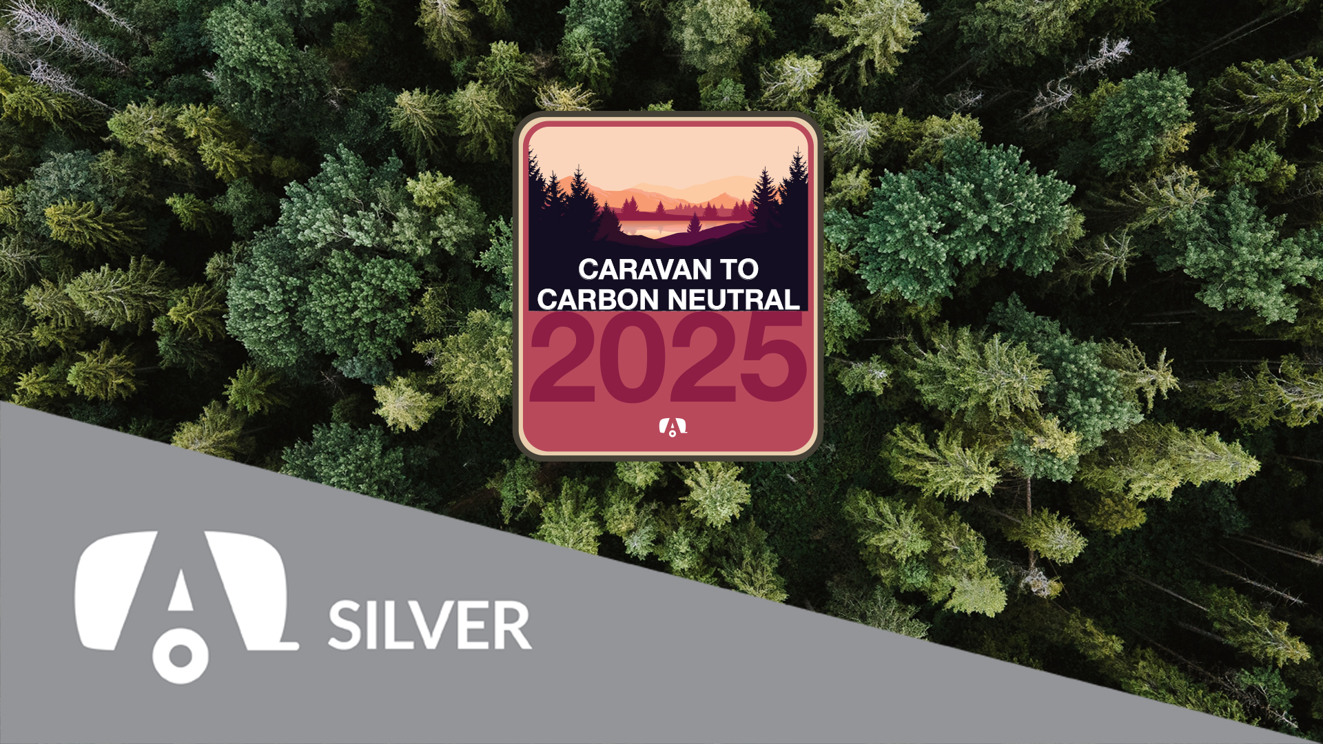 2025-Silver