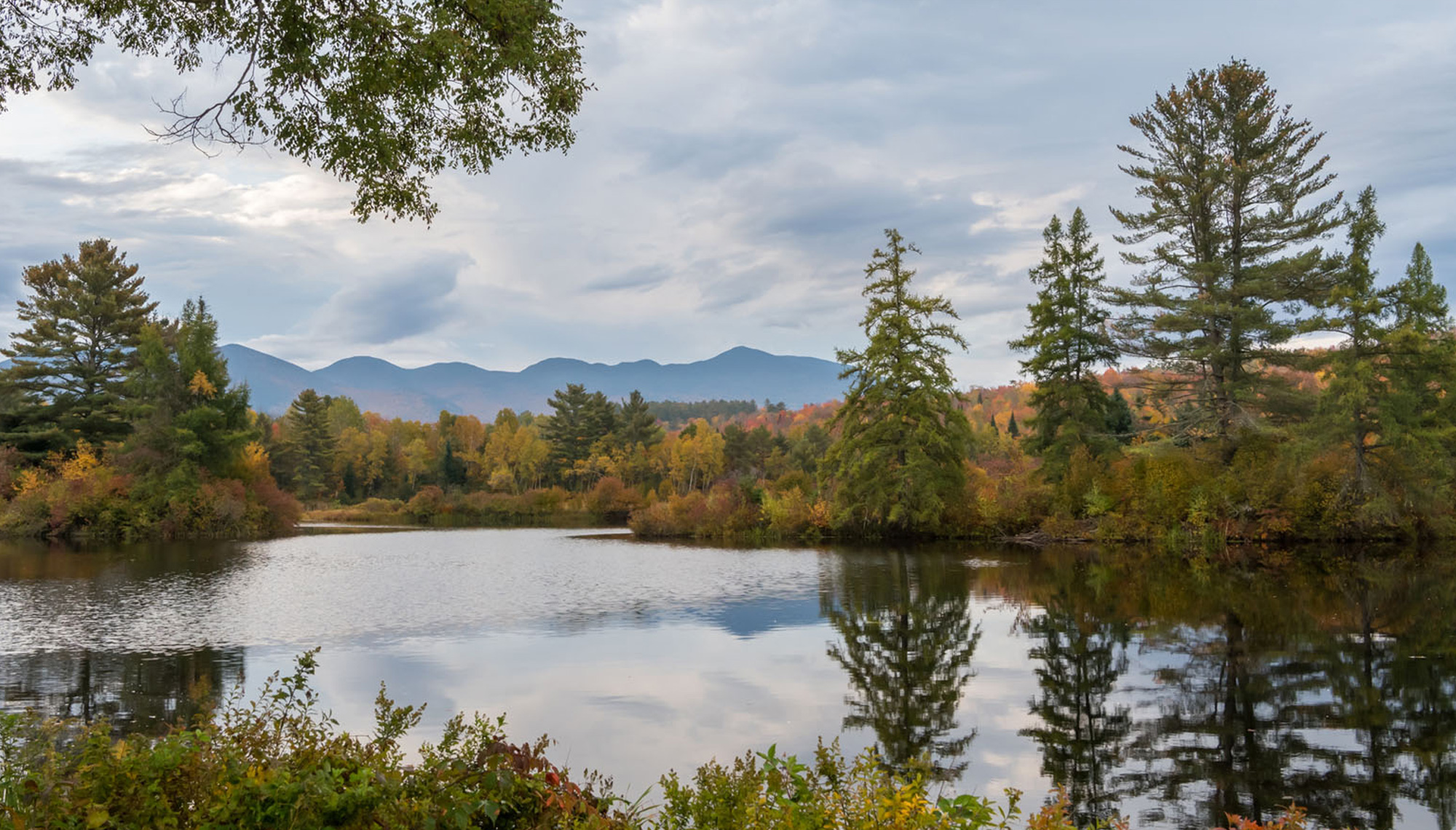 airstream-interstate-19-best-in-class-guide-maria-kacavas-4-fall-foliage