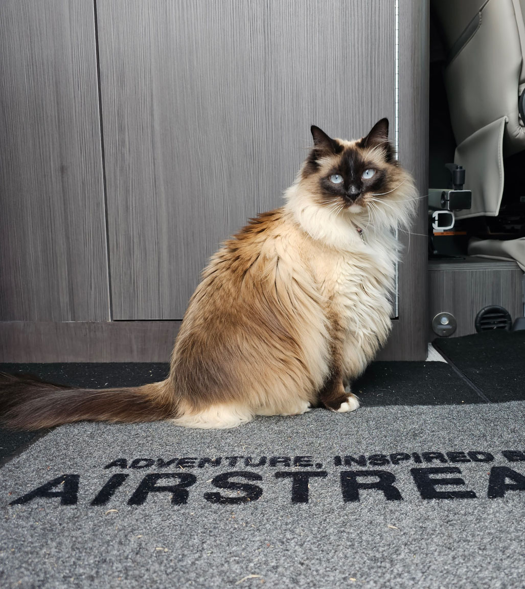 airstream interstate 19 best in class guide maria kacavas 6