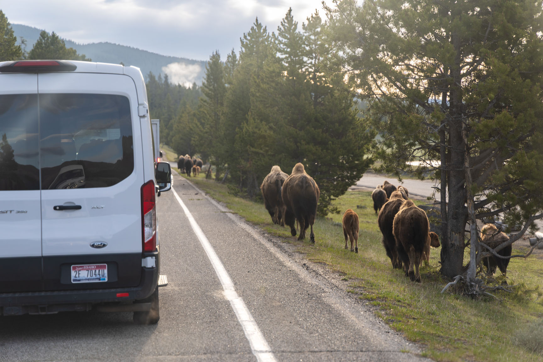 Andrew Pielage Photography