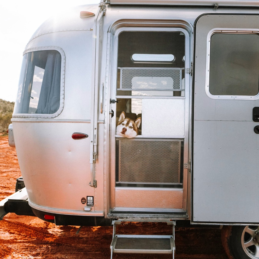 Dog looking outside Airstream Travel Trailer Door