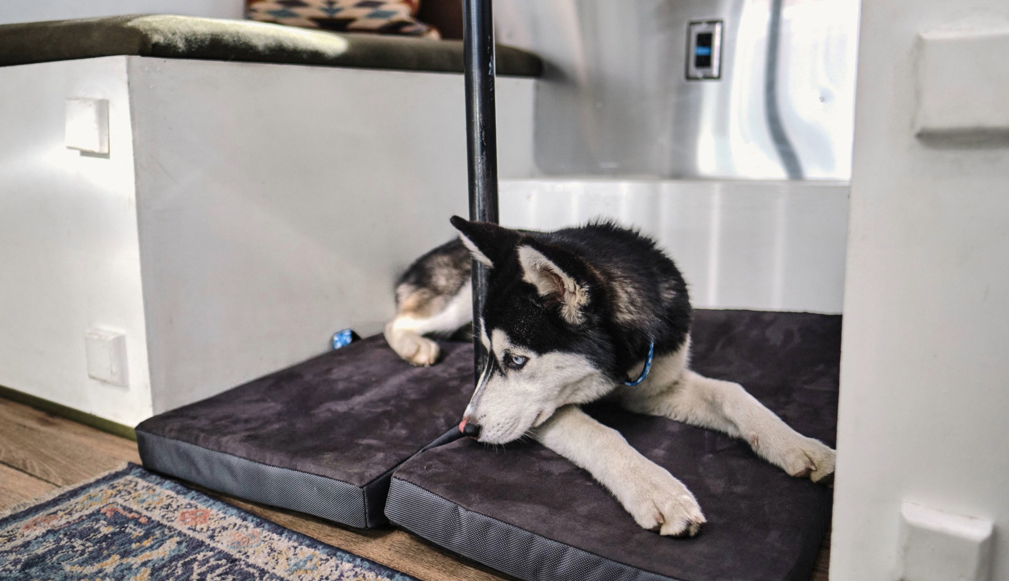 Airstream Supply Company's Under Dinette Dog Bed for Airstreams. 