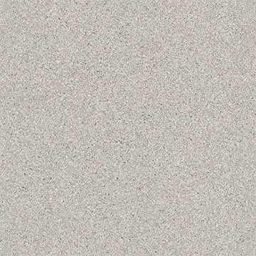 Flooring Swatch 360x360WT22