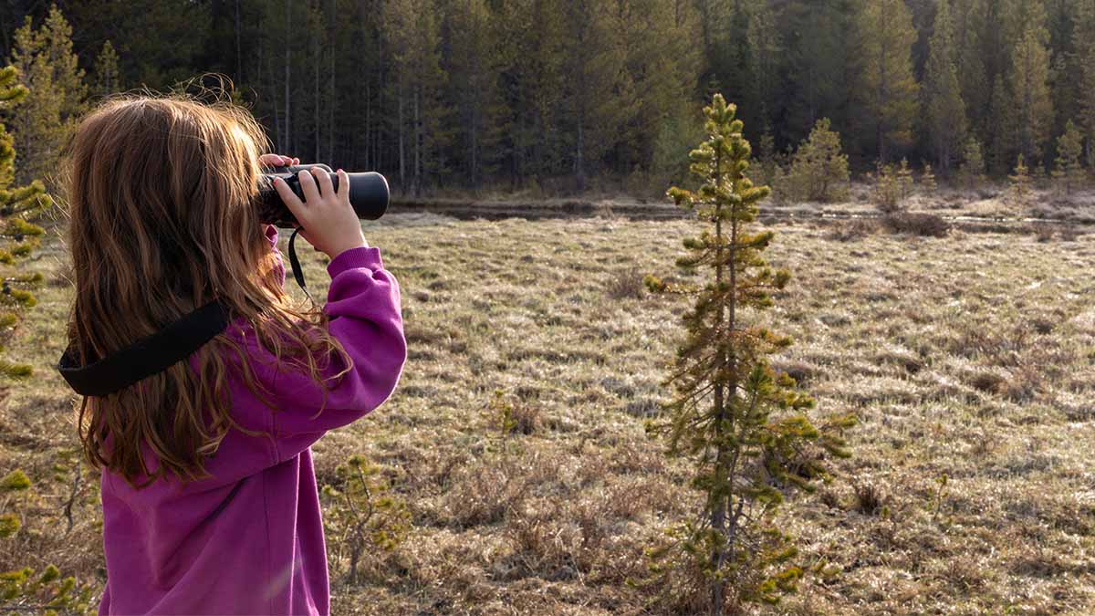 Feature Rectangle 1200x675CAYAAA